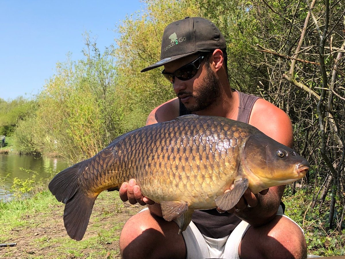 Leads_2_Go's tweet photo. Managed these over the weeknd, all caught on adjustable zigs in 56ft of water using bug imposterz. #carpfishing #fishing #leads2go #L2G #imposterz https://t.co/1i1srrgCuf