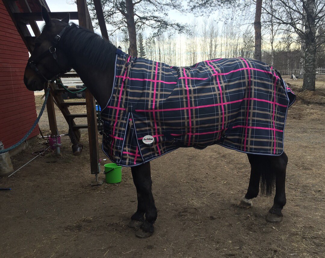 jatta_'s tweet photo. Uuden sadetakin sovitusta. Hyvä on ja pitää vettä :) #ihmeruuna sai raveista tuliaisia! #valjasliikesaarinen myy näitä! #hobbeloimet #retiredracehorse https://t.co/71vmtzWkMB