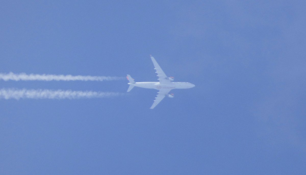 Andy007_SR_A's tweet photo. YU-ARA / #ASL500
@airserbia @Airbus A330-200
Route: BEG - JFK
08:15hrs yesterday #OTT @ FL360 #SRAirband @PaulDArcy1 @planesonthenet @uk_spotter @JFKairport https://t.co/SCJFXMFMnh