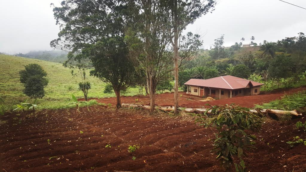 tchoupinov's tweet photo. Somewhere in a village in West Cameroon 🇨🇲
■■■■■■■■■■■■■■■■■■■■■■■■■■■■■■■■
#picofthedays #village #tourism #travelnoire #instatraveling #instatrip #travelphotography #travelgram #babone #Cameroun #africa https://t.co/FpoWNnBa1r