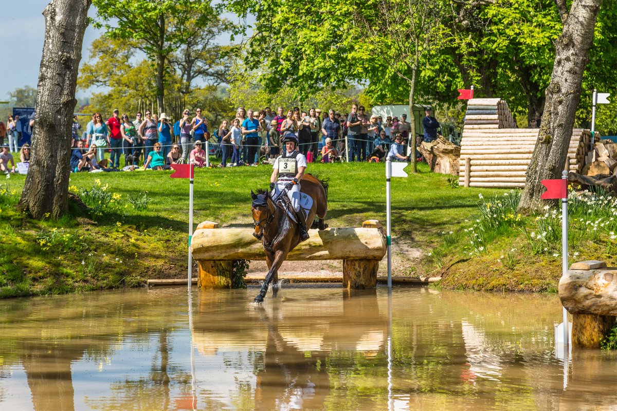 OG Media Solutions tweet media