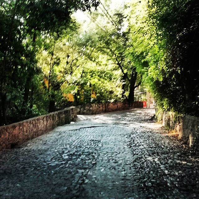 xomero's tweet image. #randomstreet #randomstreetsanmiguel #sanmigueldeallende ift.tt/2KGHkls