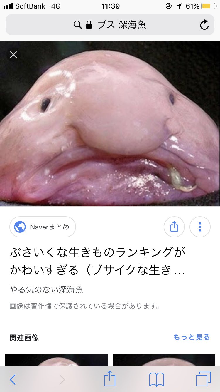 ブサイク 深海 魚 深海魚 深海生物 まとめ50選 カワイイ キモイ 不思議な深海魚たち