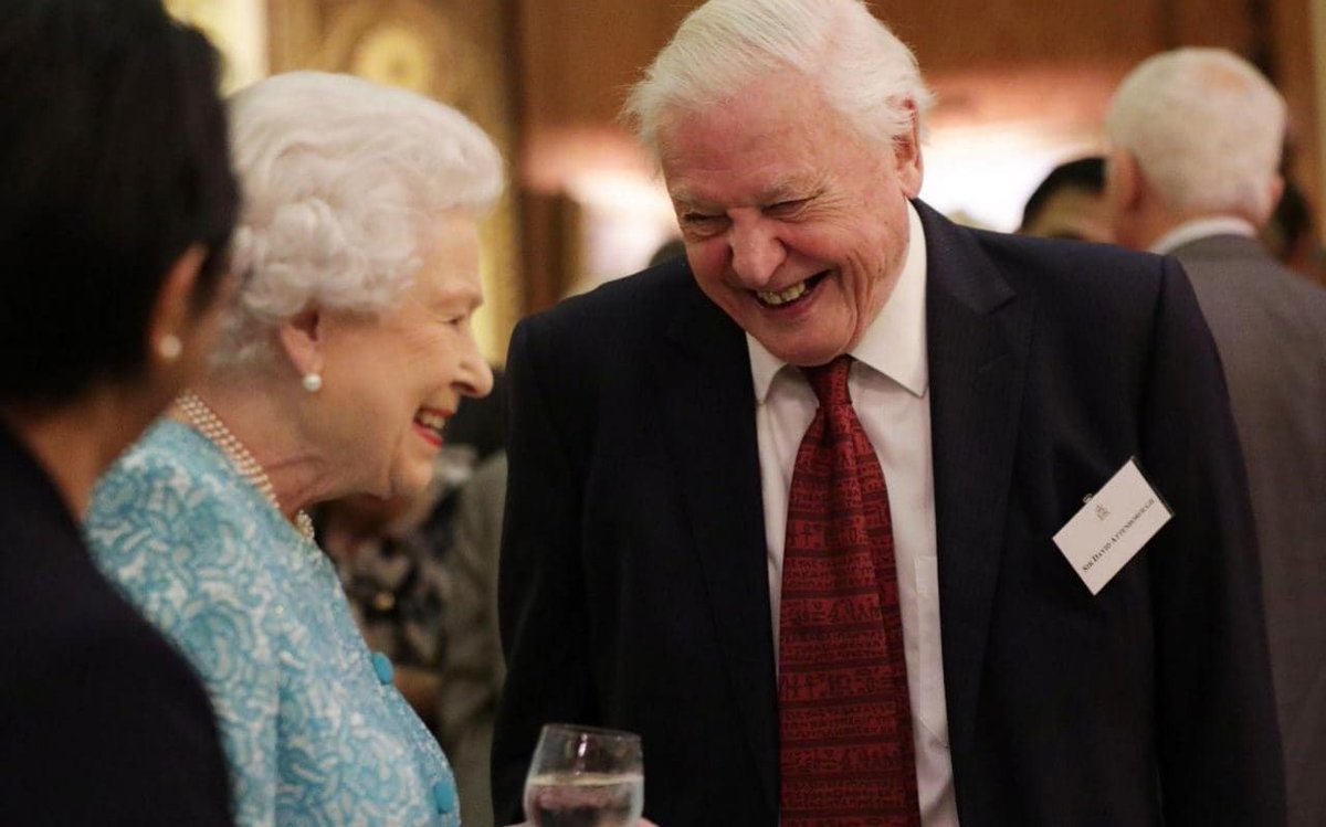 MissionBlue's tweet photo. The Queen has declared war on plastics, banning the use of plastic straws from the Royal Estates. https://t.co/IqfGDcxNUV #StrawsSuck
via @Telegraph https://t.co/rI33cEqnBU