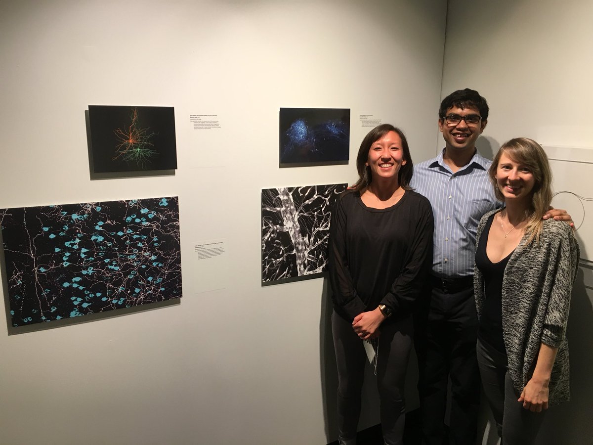 Kay M Tye PhD (@kaymtye) on Twitter photo So cool to have our work (<a href="/praneethnamburi/">Praneeth Namburi</a> <a href="/caitvw/">Caitlin Vander Weele, PhD</a> <a href="/ga_matthews/">Gillian Matthews</a> <a href="/anna_beyeler/">Anna Beyeler 🇺🇦</a>) featured in the <a href="/MITMuseum/">MIT Museum</a> alongside the most influential neuroscientist of all time Ramon y Cajal...! Beautiful work from <a href="/eboyden3/">Ed Boyden</a> and Harnett Lab as well. So cool to have our work (<a href="/praneethnamburi/">Praneeth Namburi</a> <a href="/caitvw/">Caitlin Vander Weele, PhD</a> <a href="/ga_matthews/">Gillian Matthews</a> <a href="/anna_beyeler/">Anna Beyeler 🇺🇦</a>) featured in the <a href="/MITMuseum/">MIT Museum</a> alongside the most influential neuroscientist of all time Ramon y Cajal...! Beautiful work from <a href="/eboyden3/">Ed Boyden</a> and Harnett Lab as well.