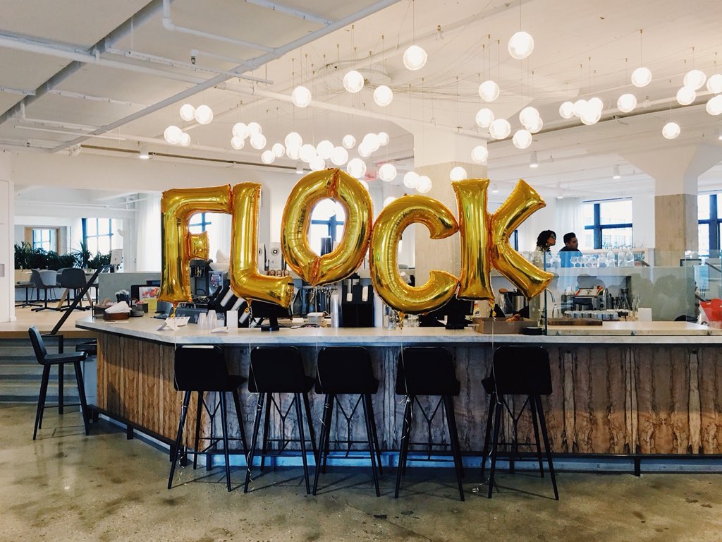 amelearenshaw's tweet photo. Fail upwards and let go of gold stars๐๐๐
#FlockTakesFlight https://t.co/dYyTHSgTPn