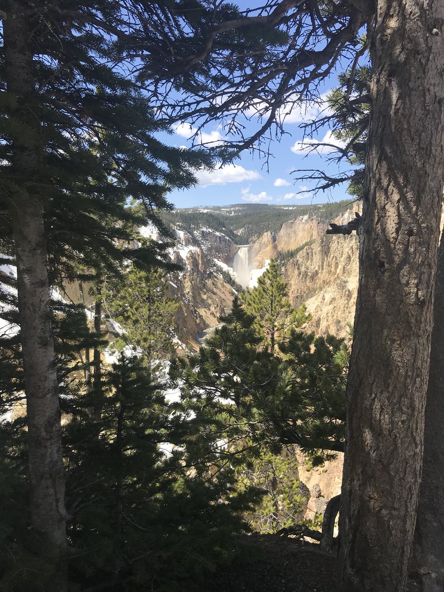 BSUPimp's tweet image. #YellowStoneNP #ArtistPoint #GrandCanyonOfYellowstone