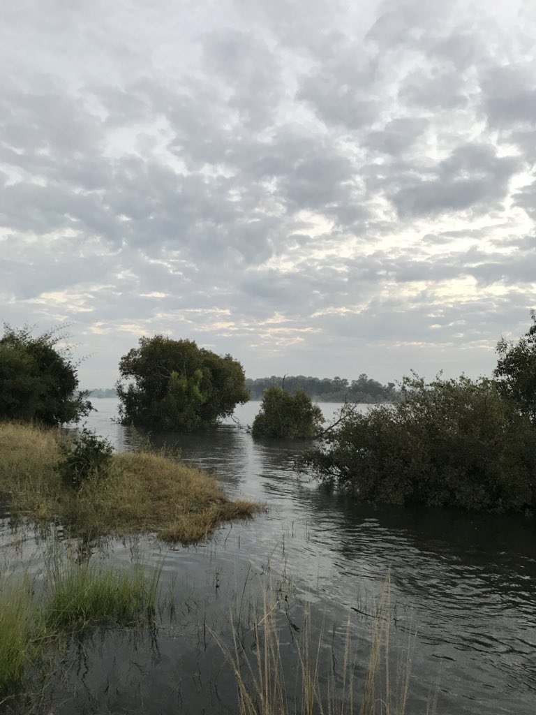 Another great morning in Victoria Falls on the banks of #zambeziriver #morningvibes