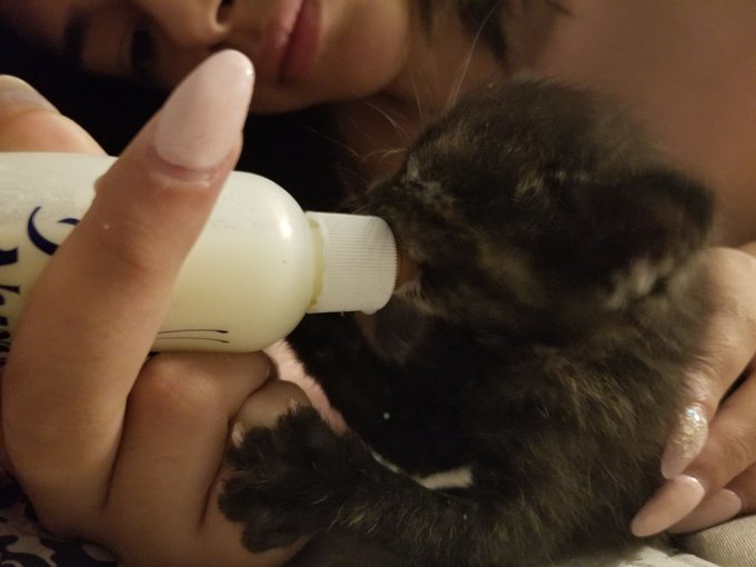 Watch 🌟harmony🌟 hiatus's leaked NSFW photo on TwXstars