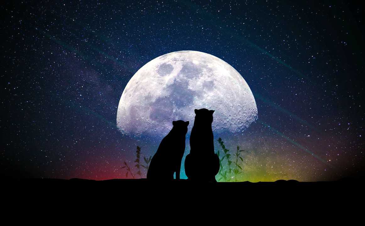 Beautiful Moon Night Wallpapers