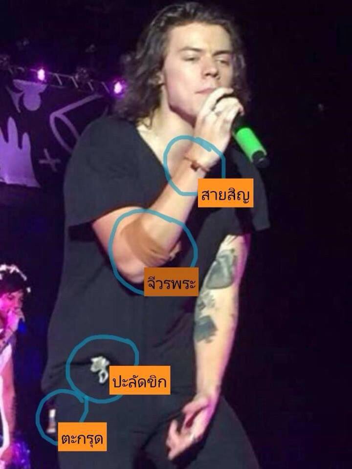 แฮร์รี่ขี้หักใน tweet media