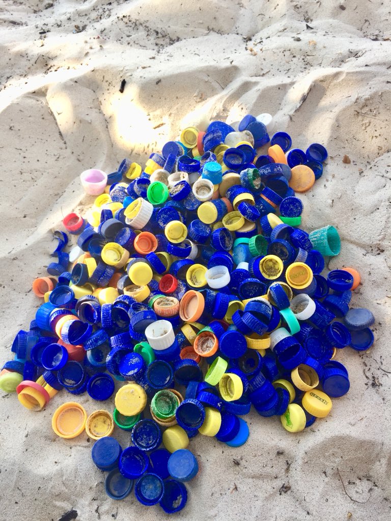 Envac18's tweet photo. The total was 650 along the coastal beach at Dolok Oan

441 blue plastic bottle caps
123 yellow plastic bottle caps
33 white plastic bottle caps
29 green plastic bottle caps
16 red plastic bottle caps
7 brown plastic bottle caps
A purple plastic bottle cap

#nextARTproject https://t.co/Tyz6duNDtE