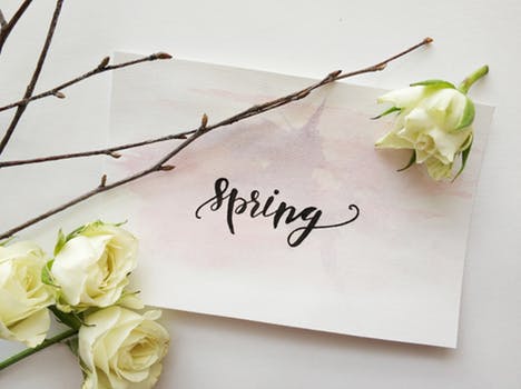 Spring retrain?  Come chat to us about how you can change careers.  Lots on offer! #retrain #careerchange #spring #training