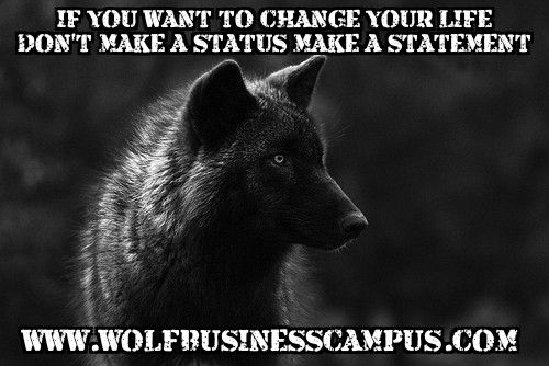 dancarsonwolf's tweet image. 