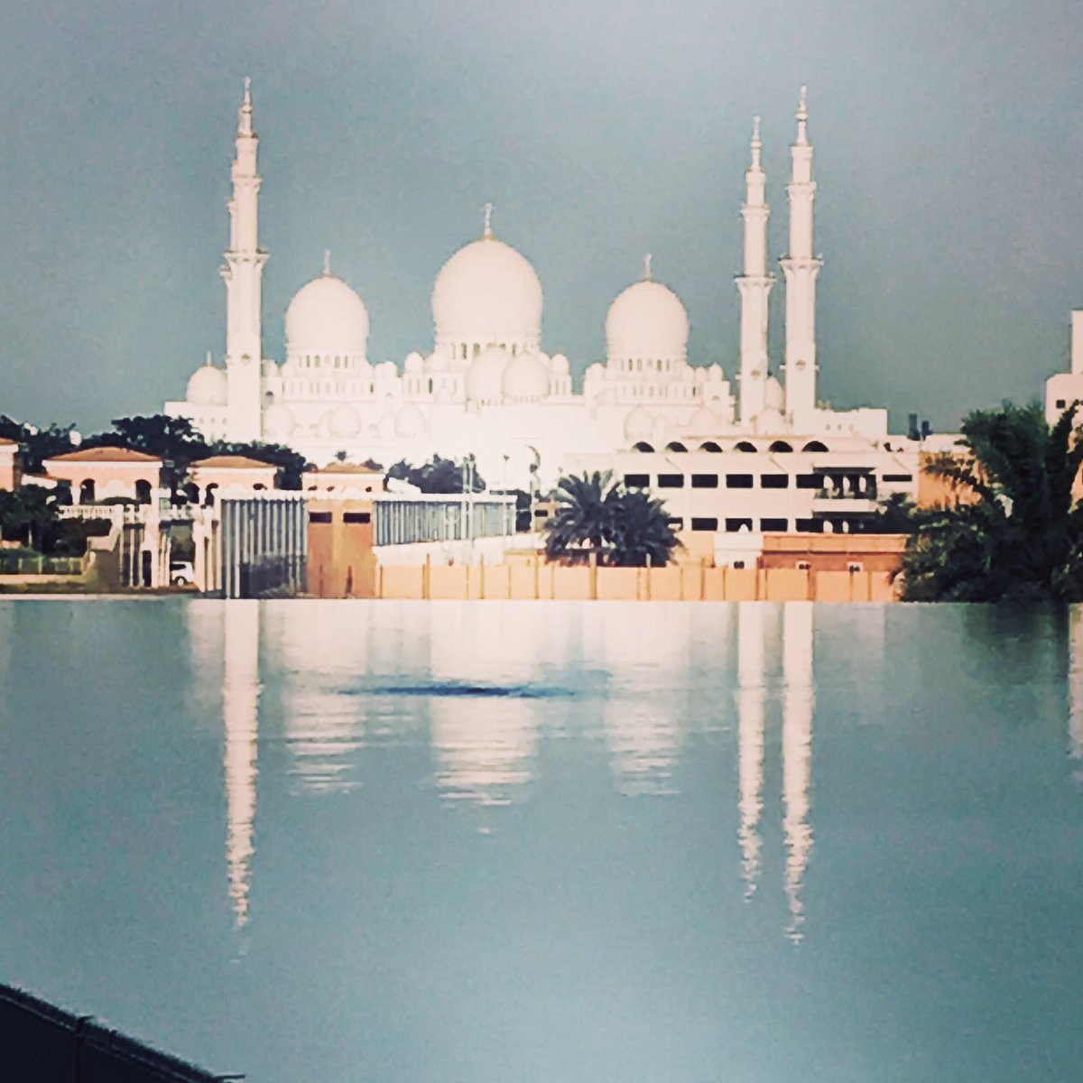 ifhp1's tweet photo. Thank you to Daman Health for hosting our Panel meeting on Fraud in Abu Dhabi. #healthcareIT #insurancenews #technology #abudhabi https://t.co/2h7zmCIpdE