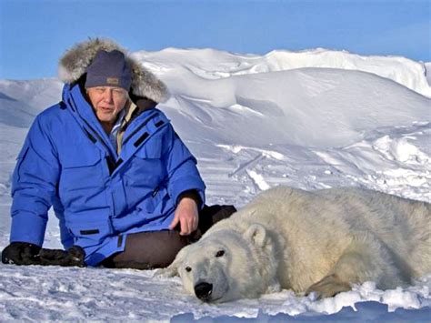 30. When this Polar Bear woke up he was really angry to have missed the opportunity to meet David Attenborough. #AttenboroughDay #Attenbirthday