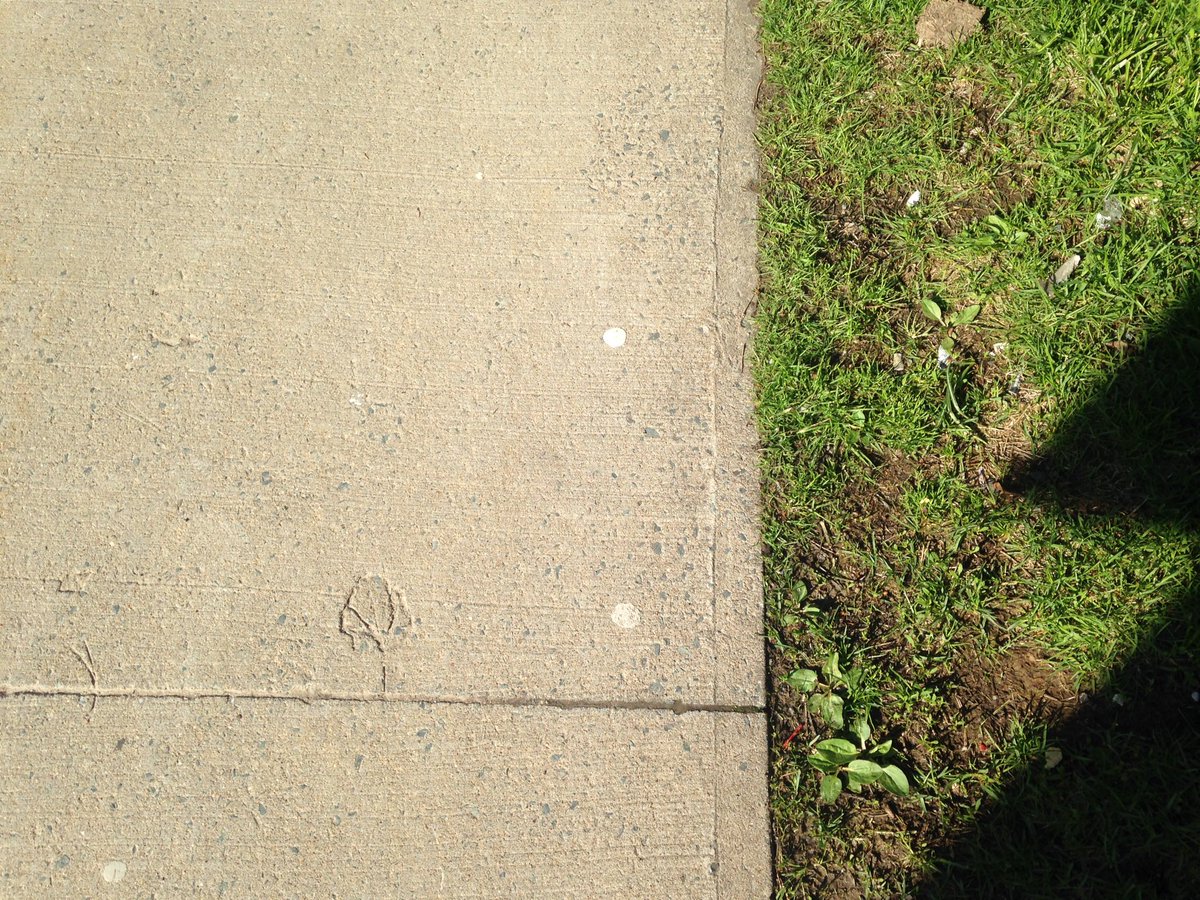 tim_fedak's tweet image. A morning #urbanFossil in #Halifax near Ferry Terminal.