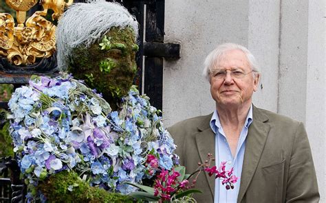 17. David Attenborough likes flowers, but he is not sure about this flower sculpture. #AttenboroughDay #Attenbirthday