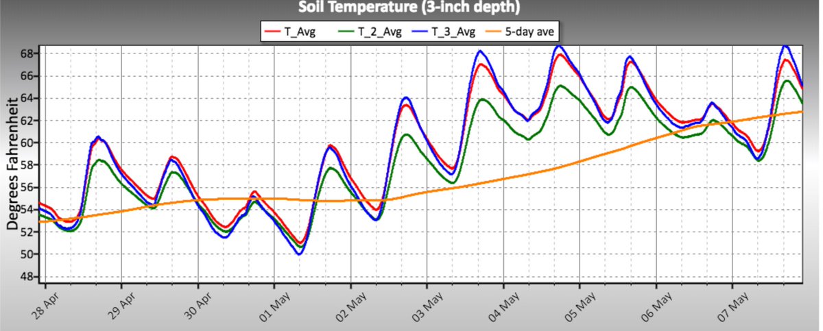Matt Elmore tweet media