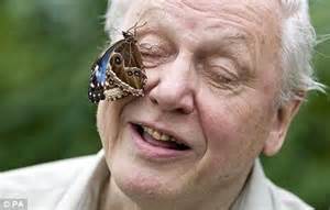 23. When David Attenborough first joined the BBC he was told his teeth were too big for television.They were proven wrong, however, as his teeth were actually just the right size for television. #AttenboroughDay #Attenbirthday