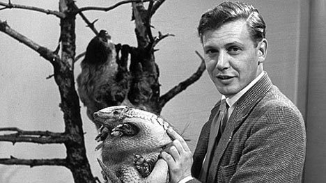 24. All animals love David Attenborough, even the notoriously shy Armadillo, who is pictured here being only too delighted to be with David. #AttenboroughDay #Attenbirthday