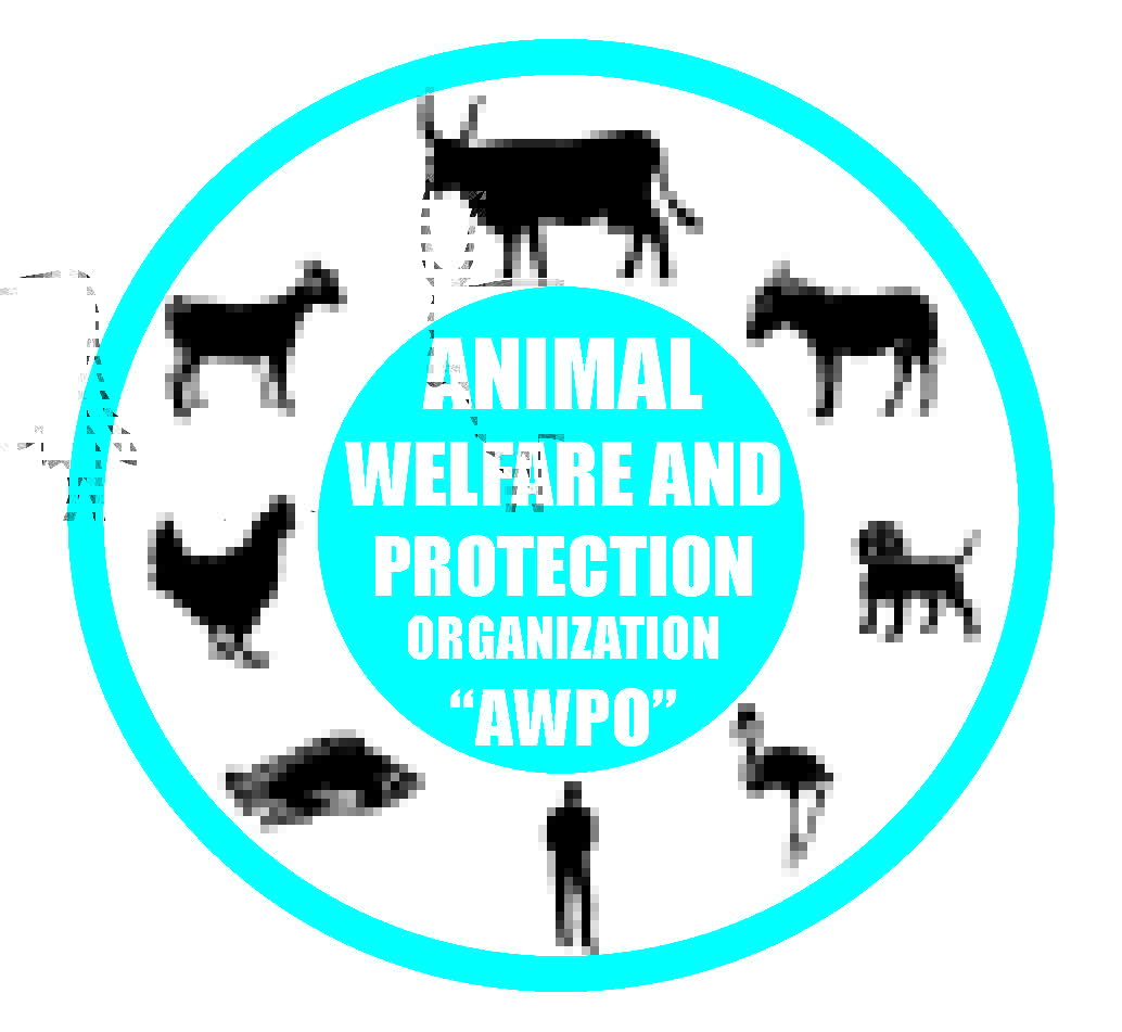 animalwelfareprotection .org (@animalwelfarep2) / Twitter animalwelfareprotection .org (@animalwelfarep2) / Twitter