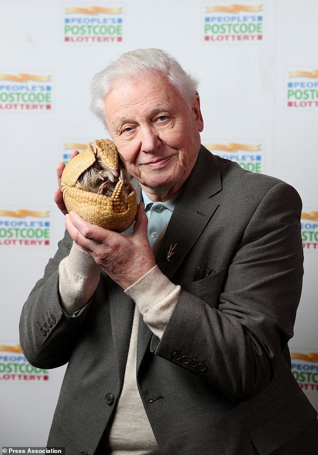 25. In fact, the Armadillo Community has a long and illustrious history with David Attenborough, and I am sure they were among the first this morning to wish him a very happy birthday #AttenboroughDay #Attenbirthday
