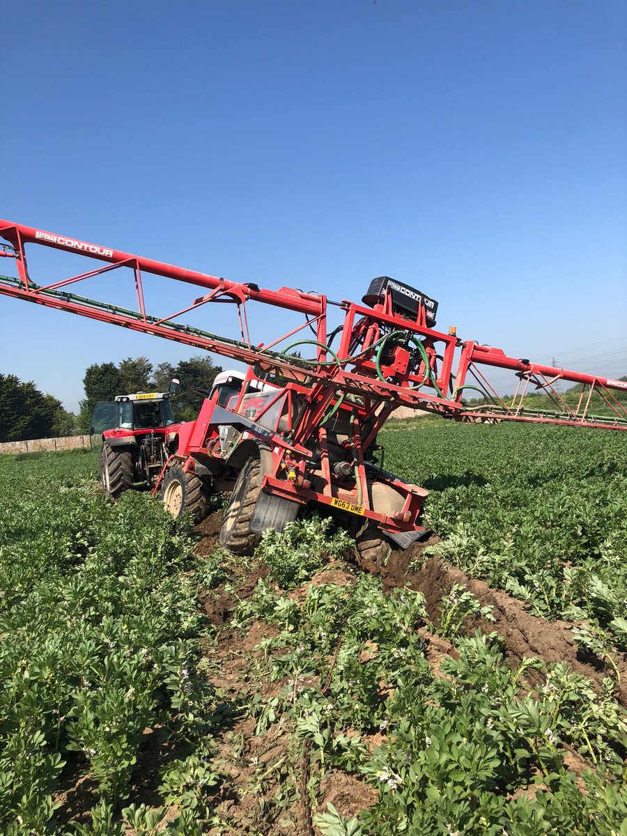 Markmscbg's tweet photo. Just when you thought it was safe....! #clubhectare https://t.co/naNWlqNSdK