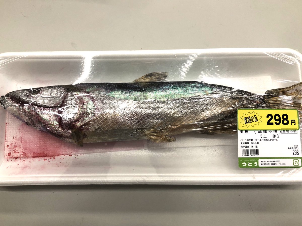 カイシトモヤ 学生がアルミシートとかクリアファイルとかをコラージュして作った スーパーの魚 がすごいよく出来てる ドリップ 魚汁 とかラベルとか細やかな拘りを感じる T Co Kgd3cizgvk Twitter カイシトモヤ 学生がアルミシートとかクリアファイルとかをコラージュして作った スーパーの魚 がすごいよく出来てる ドリップ 魚汁 とかラベルとか細やかな拘りを感じる T Co Kgd3cizgvk Twitter