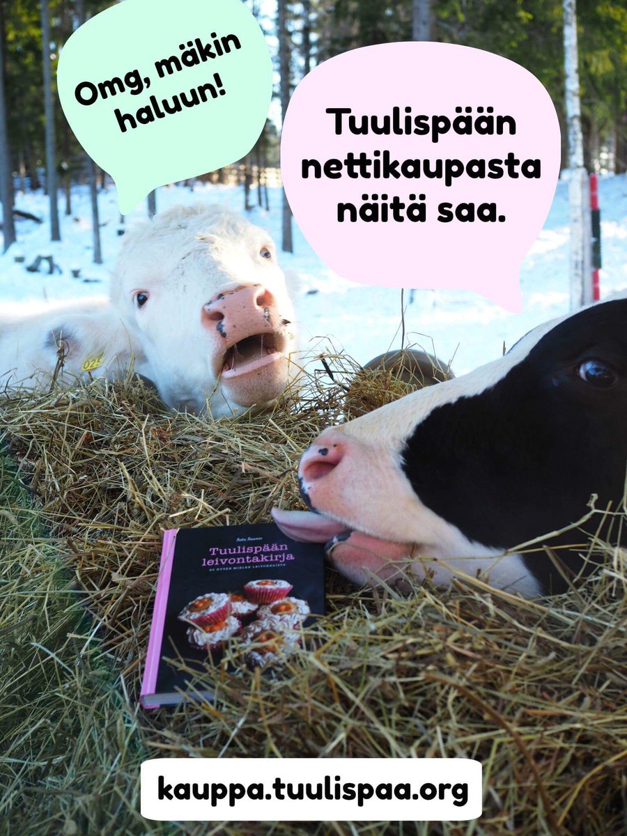 Esk_Tuulispaa's tweet photo. Nettikauppamme on nyt avattu 🎉, tervetuloa shoppailemaan 🙂🛒🎁: https://t.co/wwjmmqyQ67 https://t.co/5La1vuNVhF