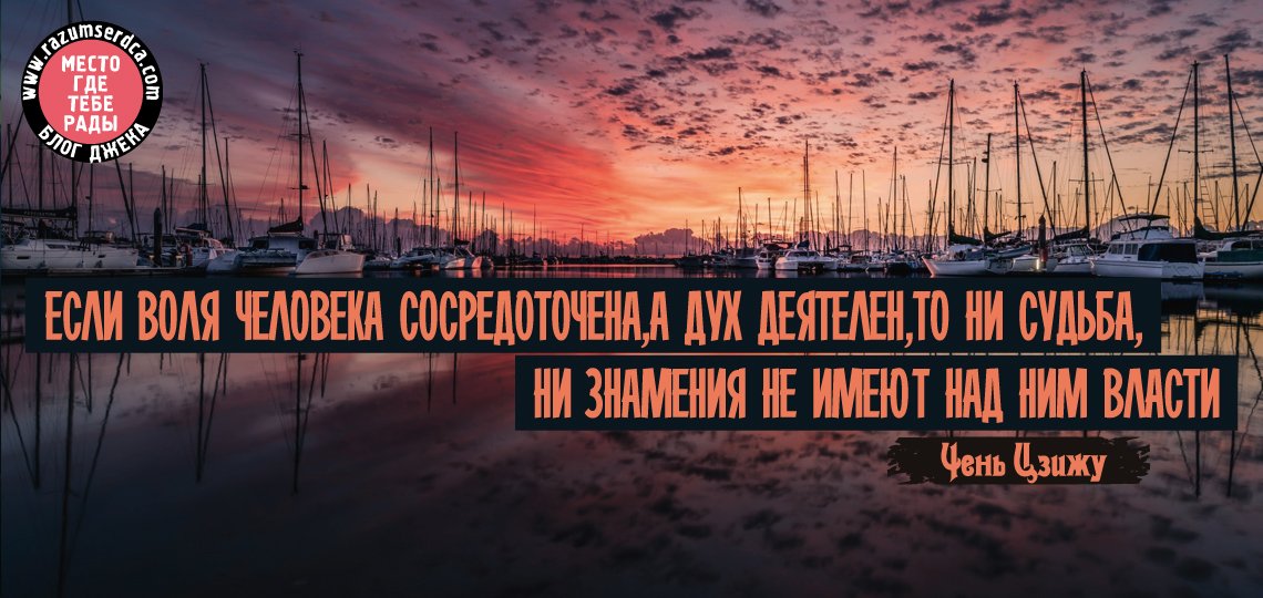 Евгений Добров tweet media