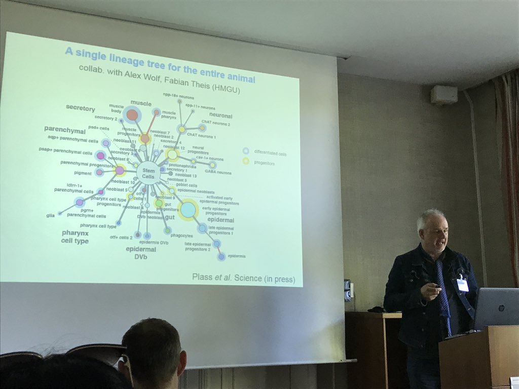 JfPeyron's tweet image. Fantastic conf on #singlecelltranscriptomics in Space and Time by @N_Rajewsky