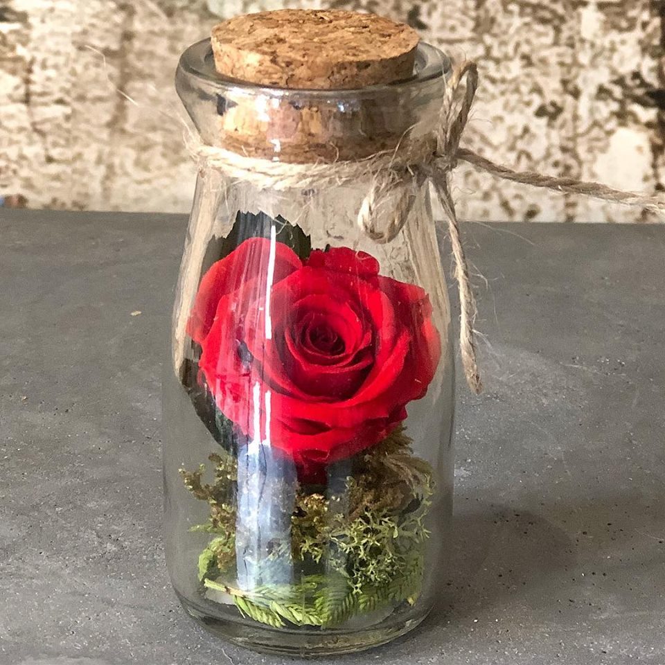 BarrioPicasso's tweet photo. Los #regalos más originales los encontrarás en nuestro #BarrioPicasso.
Descubre uno de nuestros comercios @florzenmalaga !! https://t.co/knMrd732wH