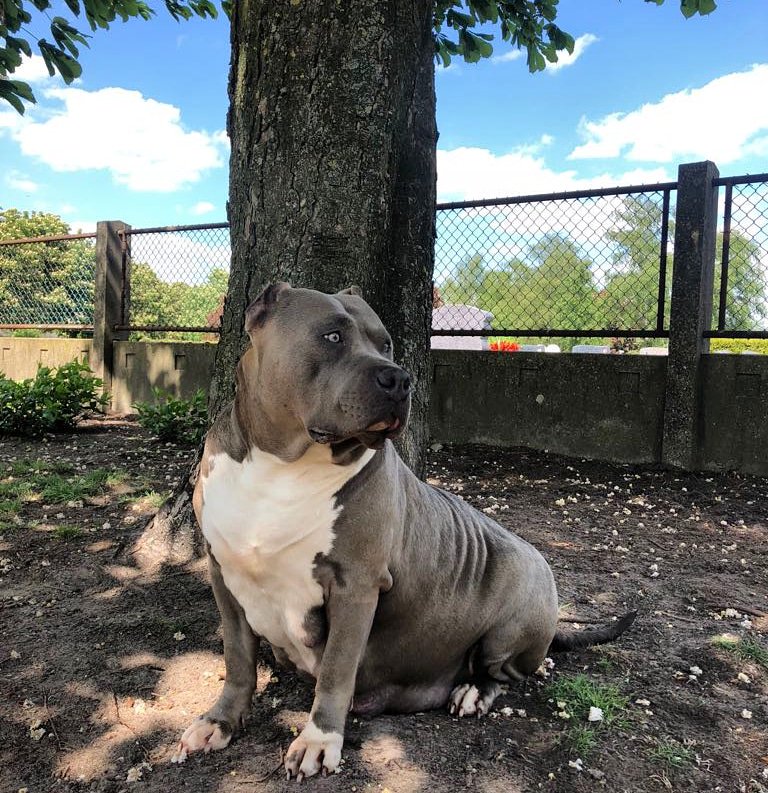 Look left so aggressive and  something