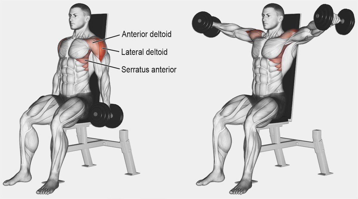 _Fit4Lyfe_'s tweet photo. Seated Dumbbell Lateral Raises are a great #workout for building wide shoulders❗️🏋🏻‍♂️🔥
•Try doing 6X15-20 (reps)
•60 second rest intervals

Credit: weighttrainingguide

#F4L #fitfam #fitness #health #gym #tbt #TuesdayThoughts #motivation #bodybuilding #FitnessMotivation https://t.co/SnUlvG84SX