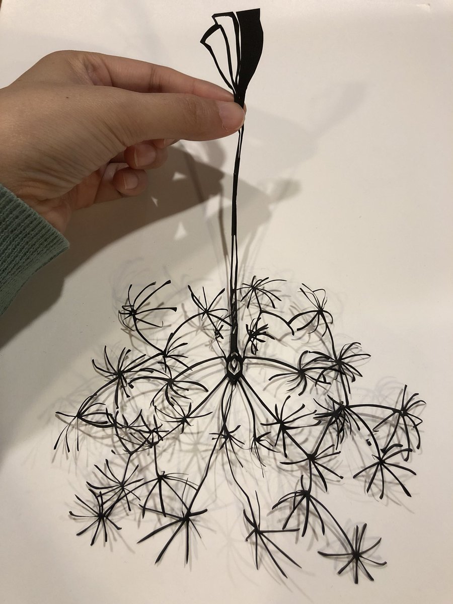 水口ちはる Twitterissa できた 線香花火