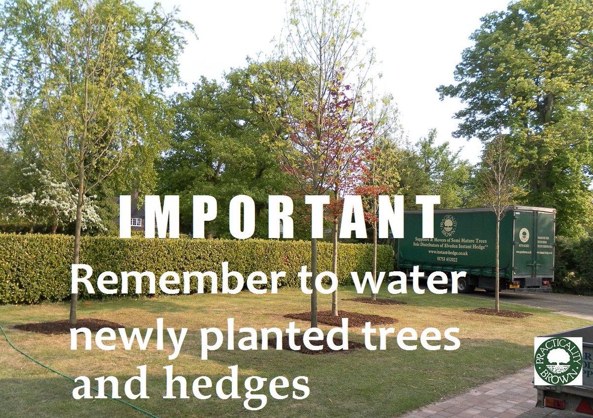PracBrownLtd's tweet photo. Please remember to water newly planted trees and hedges - especially in the warmer #weather and you should continue to do so for up to 2 years after planting. #treeadvice https://t.co/BBTlxkQt9R