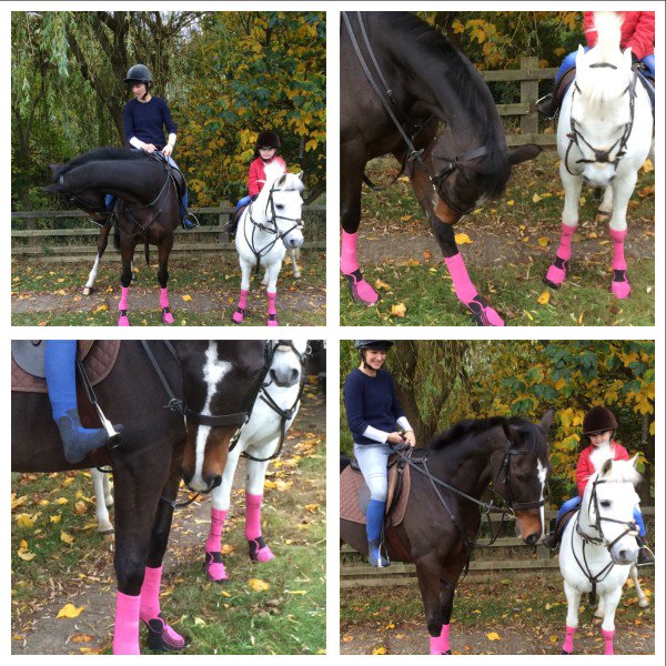 Sock Solutions tweet media