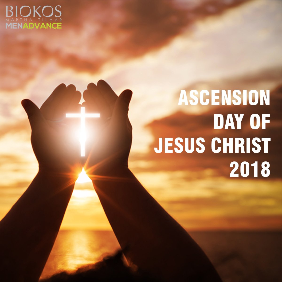 Biokos Men tweet media