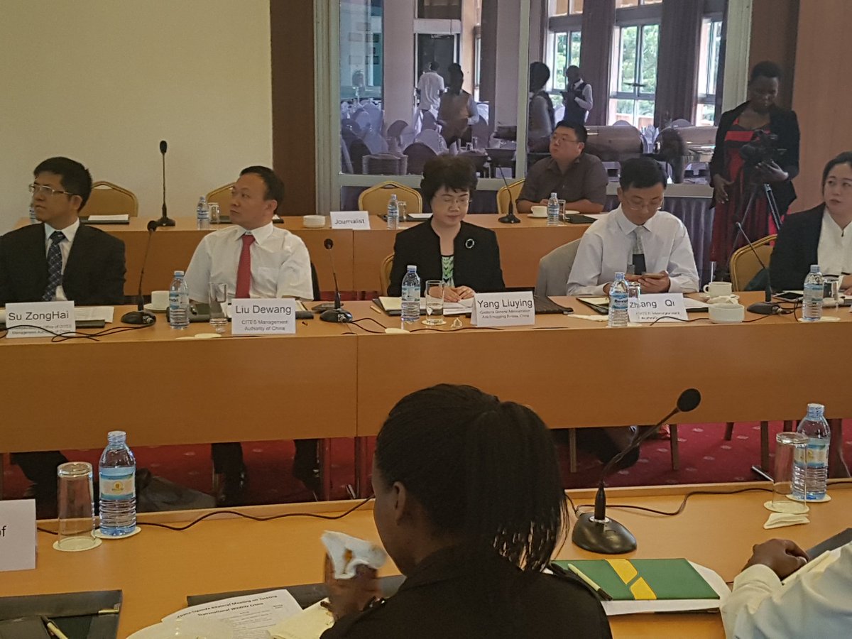 Helen Mwiza tweet media