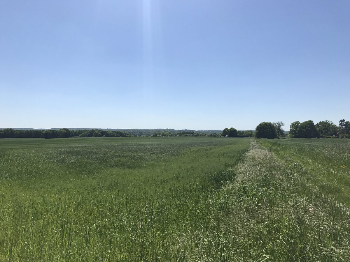 Superbe météo pour démarrer une nouvelle randonnée après le #GR1 : le #GR111 Tour de l'Essonne 😁

Étape 1 : 41,3 km / 7h30
De Saint-Michel-sur-Orge à Dourdan