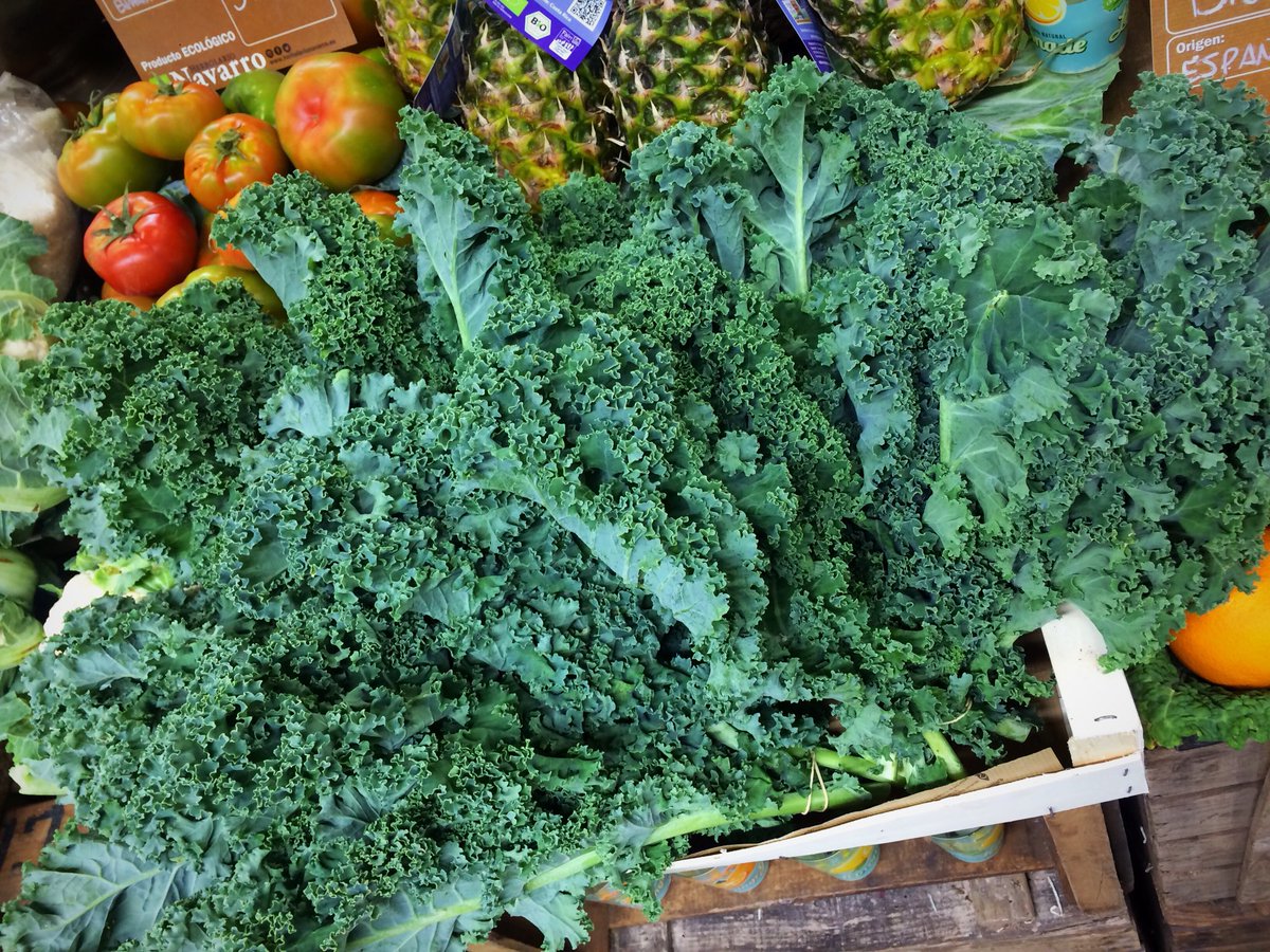 HNsaludnatural's tweet photo. Enamorados del verde de la #ColKale 💚💚
▫️Esta col rizada es tal excepcional porque es baja en calorías, alta en fibra e idóneo para depurar el organismo y mantener el hígado sano 👍🏼
▫️Fuente poderosa de fitonutrientes, que tienen un gran poder antioxidante. https://t.co/D0YnukTcYO