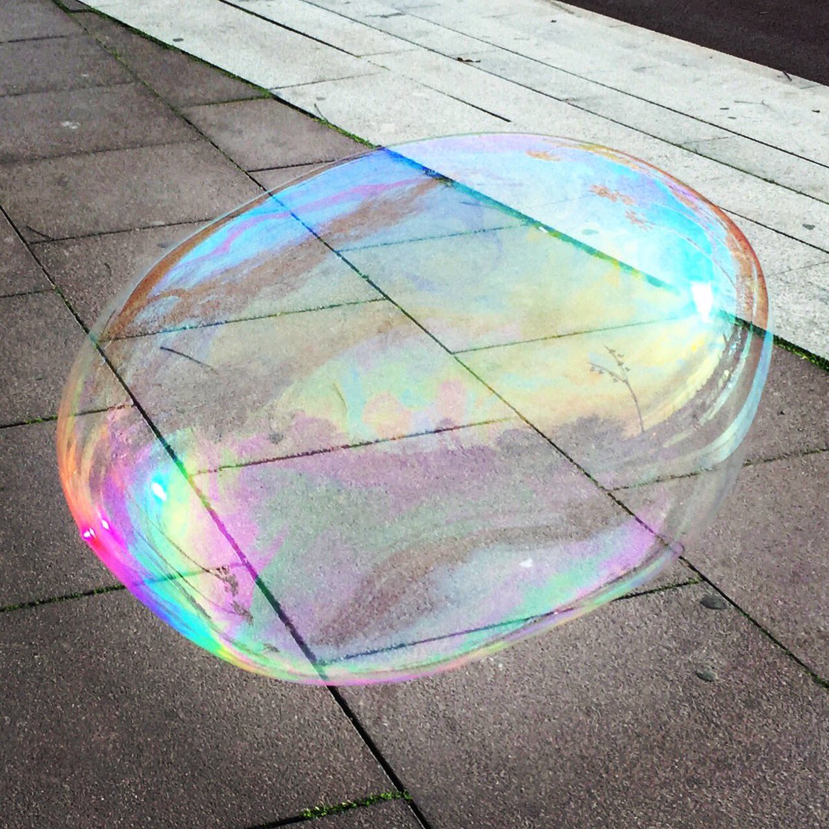pwithoutthec's tweet photo. #twittergram #bubbleoftheday https://t.co/3iczbS55ry