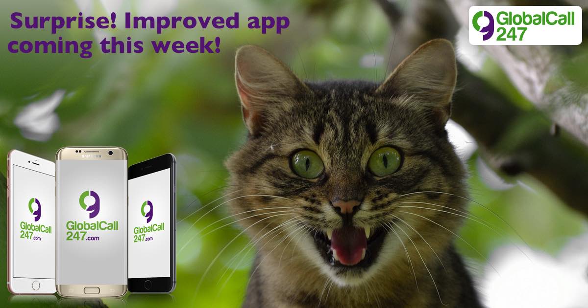 GlobalCall247's tweet image. 