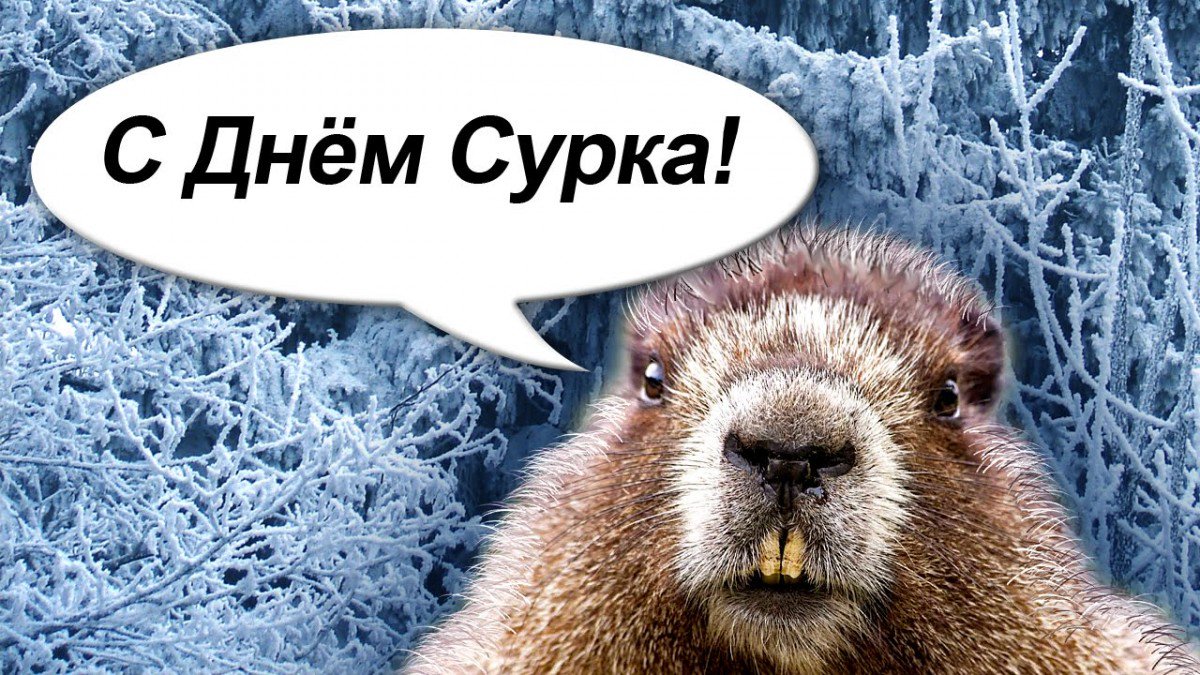 Картинки день сурка, приглашения