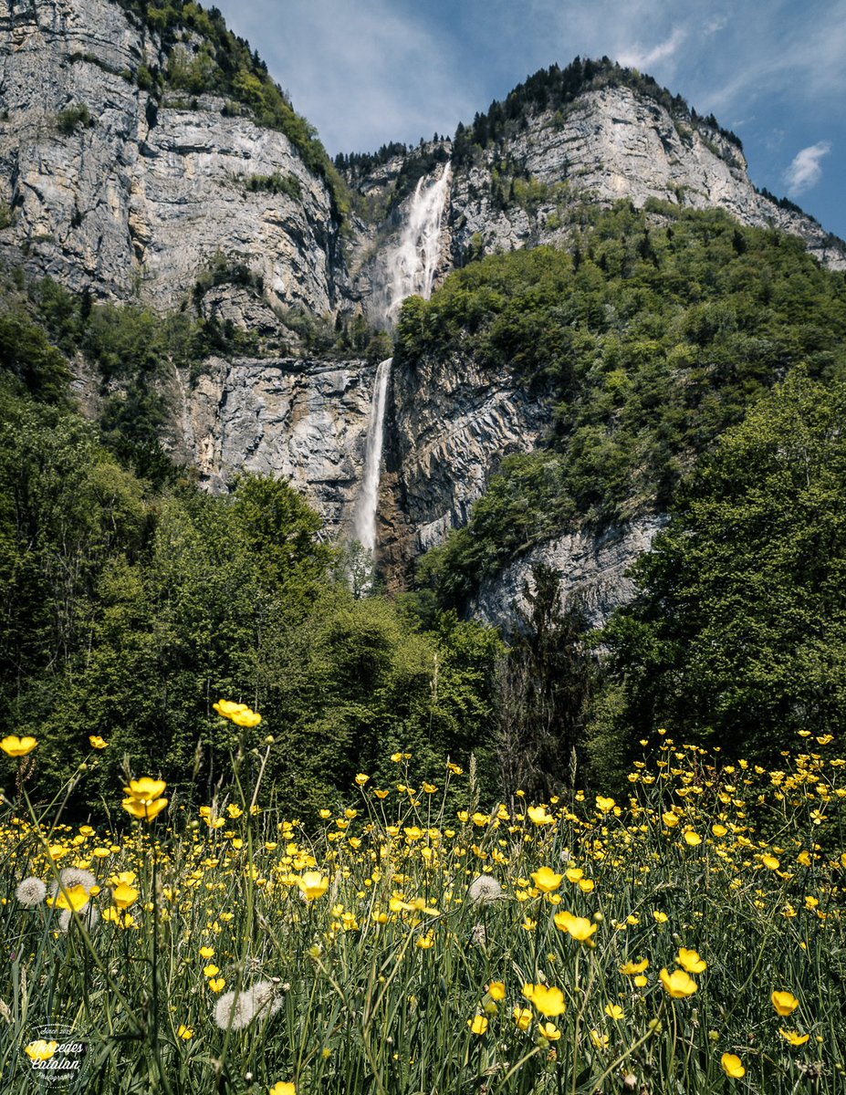 Spring in Heidiland #heidiland #walensee #seerenbach #spring #switzerland #InLoveWithSwitzerland #landscape  #canonphotography  #canonEOS #canon5dmarkIV  #pintofotografia #thephotohour #landscape #liveforthestory #outdoors #hike #StormHour