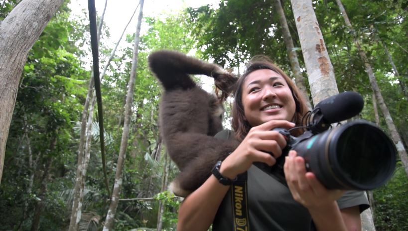 ShushanLam's tweet photo. Filmed these super playful and energetic #gibbons for a story about one woman's battle against the #wildlifetrade. Read it here: 
https://t.co/H5Vz0kdKkp https://t.co/AedcwA8XNe