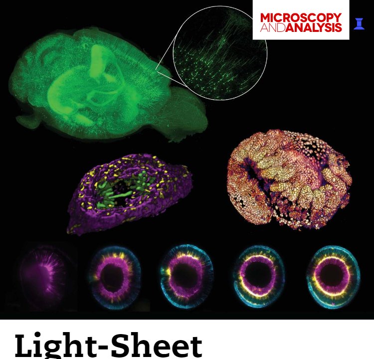 download staphylococci in human