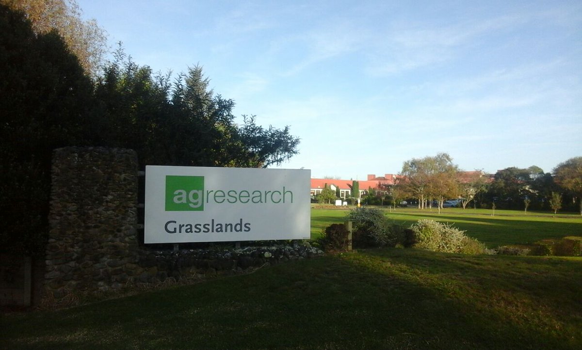 dabastia's tweet photo. Hello New Zealand 🇳🇿 and #AgResearch 🤓
#postdoc_life https://t.co/kMzFHJvYwY