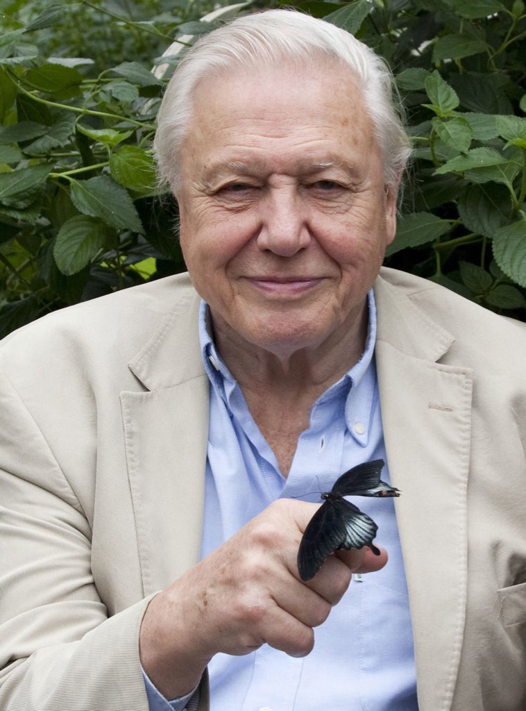 2minuteHQ's tweet photo. Happy 92nd Birthday Sir.
All our love.
The world.
Xx
💙🌍👑
#DavidAttenborough https://t.co/pn4PWDX2WL